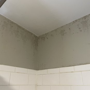 Keep It Klean - Moldy walls - Home Cleaning Near Me - Hockessin, Delaware