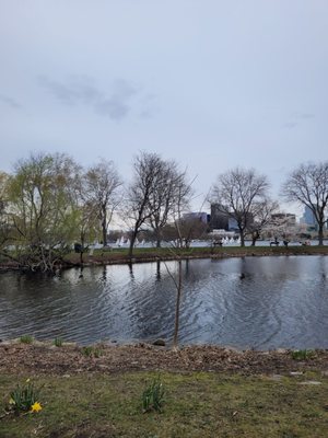 Charles River Esplanade by null