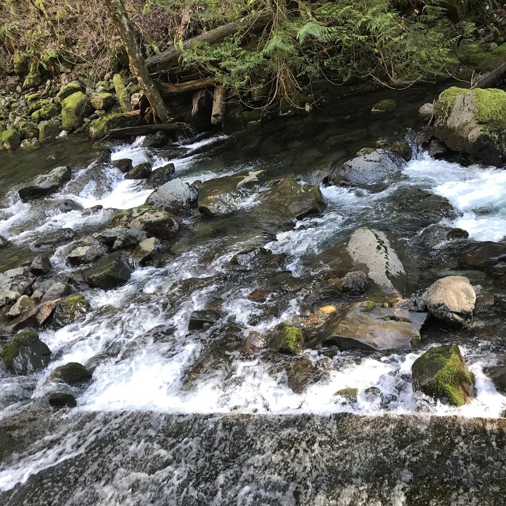 Rocky Brooks Falls - Hiking Near Me - Brinnon, Washington Rocky Brooks Falls - Hiking Near Me - Brinnon, Washington