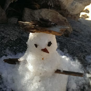 Mount San Jacinto State Park - DOB: Saturday, February 14, 2015 Valentine's Snowman in the Morning @ 50 Degrees in the shade... - Parks Near Me - Idyllwild, California