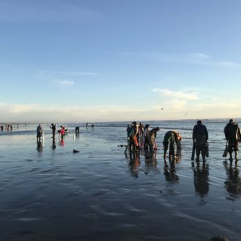 The Low Tide Motel - more fun on the clam beds - Hotels Near Me - Copalis Beach, Washington The Low Tide Motel - more fun on the clam beds - Hotels Near Me - Copalis Beach, Washington