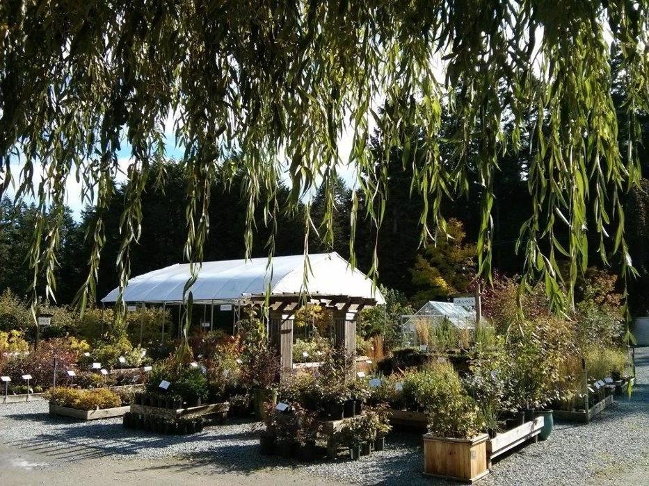 RUSSELL NURSERY Updated September 2024 27 Photos 1370 Wain Road