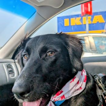 IKEA - Our candle headquarters! - Furniture Stores Near Me - Ottawa, Ontario IKEA - Our candle headquarters! - Furniture Stores Near Me - Ottawa, Ontario