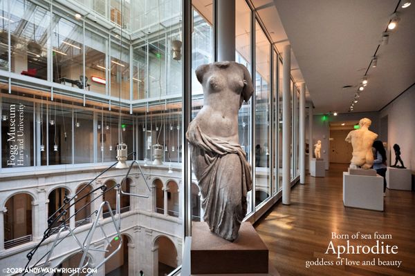 Harvard Art Museums by null