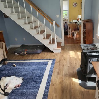 4 Season's Builders - a dog in a living room - General Contractors Near Me - Camden, Maine 4 Season's Builders - a dog in a living room - General Contractors Near Me - Camden, Maine