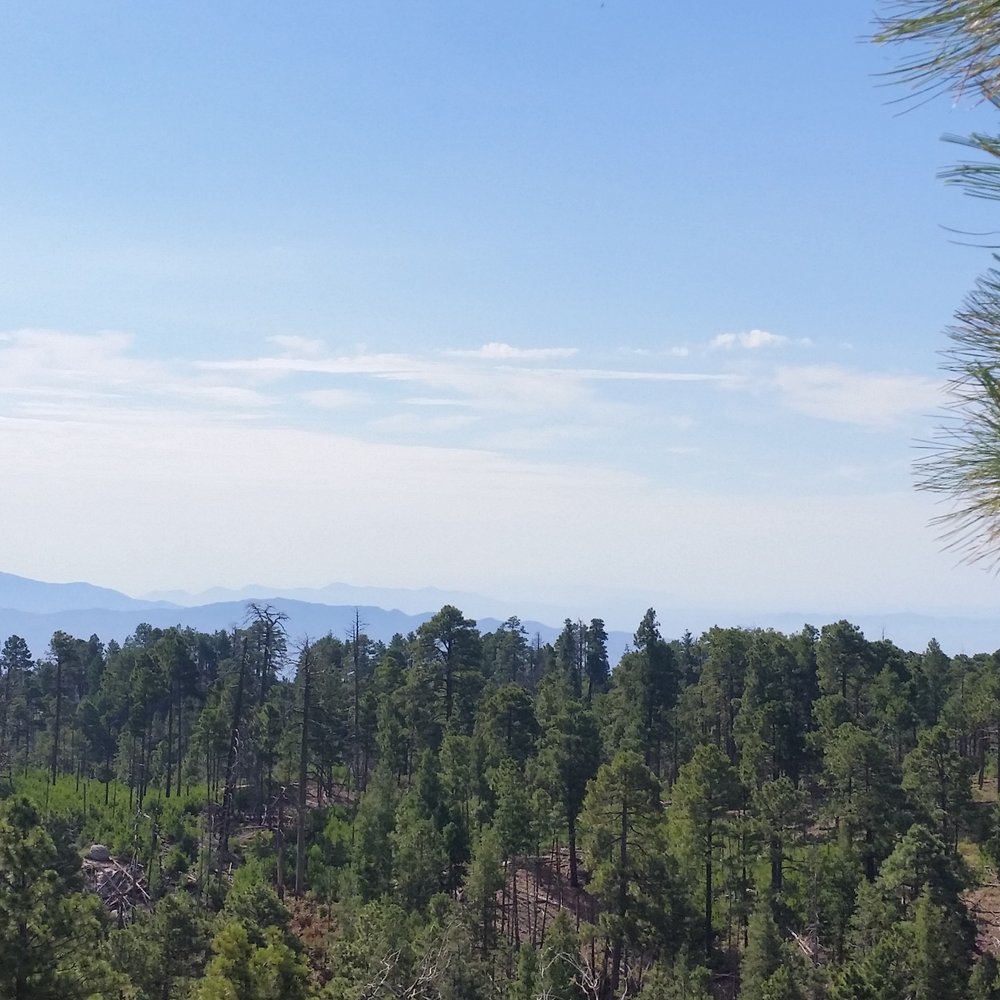 Mount Lemmon - Hiking Near Me - Tucson, Arizona Mount Lemmon - Hiking Near Me - Tucson, Arizona