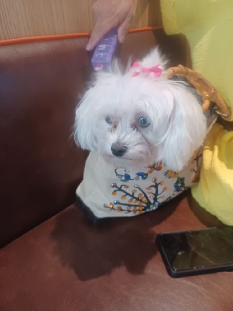 HOME CARE HERNANDEZ Waco, Texas Home Health Care Phone Number Yelp