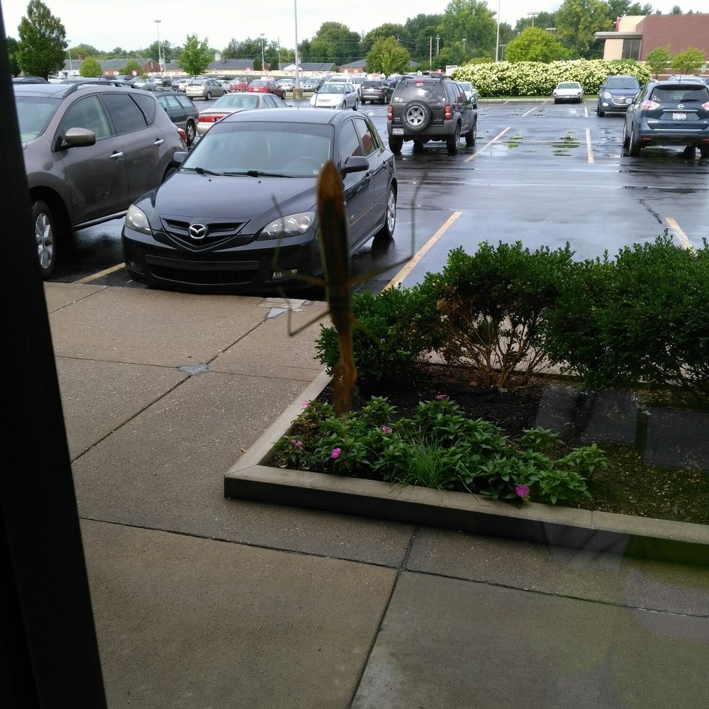 Bagel Fair - Chilling on the window - Bagels Near Me - Indianapolis, Indiana Bagel Fair - Chilling on the window - Bagels Near Me - Indianapolis, Indiana