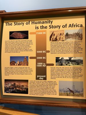 Springfield Museums by null