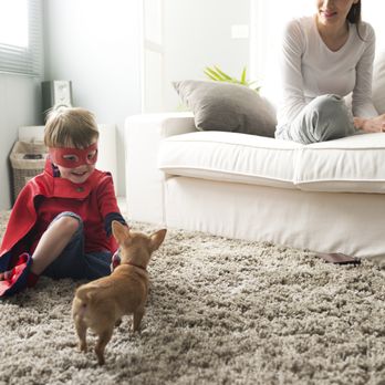Len's Cleaning & Restoration - Carpet Cleaning Near Me - Lansing, Michigan Len's Cleaning & Restoration - Carpet Cleaning Near Me - Lansing, Michigan