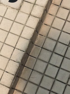 The Sporting Club at The Bellevue by null