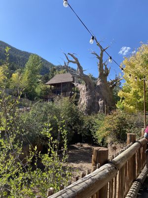 Cheyenne Mountain Zoo by null