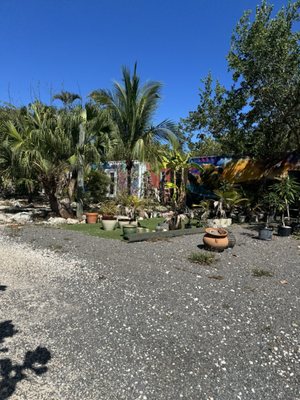 Bongo's Botanical Beer Garden and Cafe by null