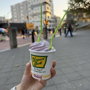 Yogurt Park - Ice Cream & Frozen Yogurt Near Me - Berkeley, California