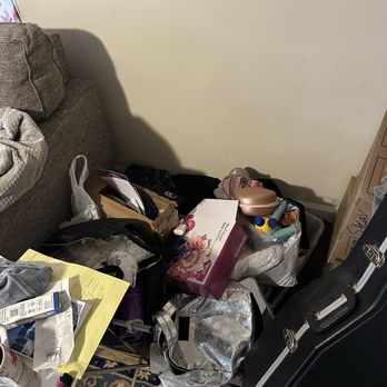 Merrie's Organizing Mania - My before of my messy living room - Home Organization Near Me - Binghamton, New York