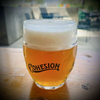 Cohesion Brewing by null