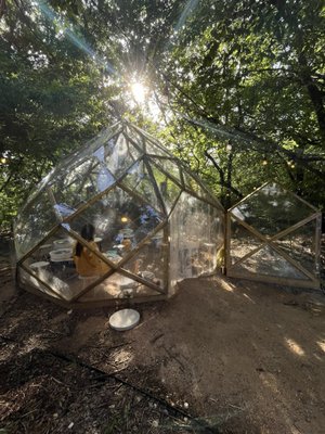 Pot Daddy Studio by null