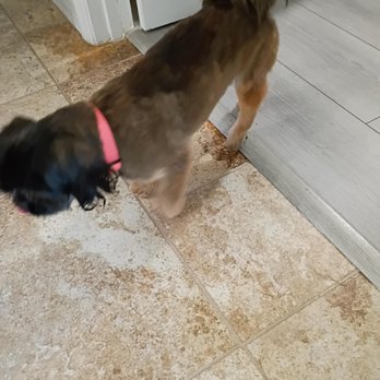 Pet Supplies Plus North Port - After 2 - Pet Groomers Near Me - North Port, Florida Pet Supplies Plus North Port - After 2 - Pet Groomers Near Me - North Port, Florida