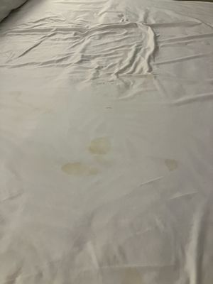 Bluewater Resort by null