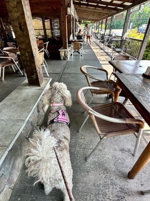 Apple Valley Mountain Village & Cafe by null