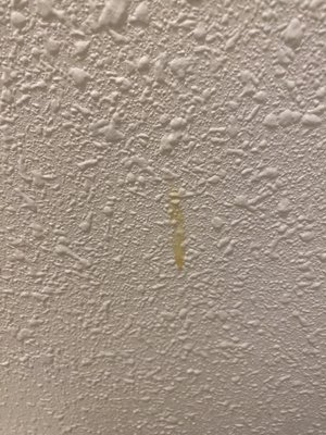 Quality Inn & Suites Gilroy by null