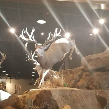 Bass Pro Shops - A hunters haven! - Hunting & Fishing Supplies Near Me - Albuquerque, New Mexico