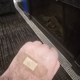 Thanks for the bandaid! Thanks for the bandaid!