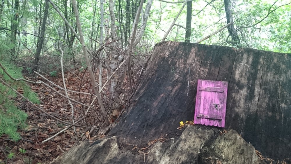 Saltburn Woodland Walk