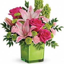 Crystal Gardens Florist - Lime-a-licious! Fresh shades of green are a great way to contrast pink roses and lilies. Hand-delivered in a lovely leaf green cube, it's a