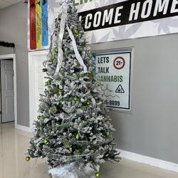 Hemp Connect - Hemp Connect Christmas Tree
