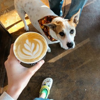 Third Gen Coffee - Latte. They allow dogs and do puppuccinos! - Coffee & Tea Near Me - The Woodlands, Texas Third Gen Coffee - Latte. They allow dogs and do puppuccinos! - Coffee & Tea Near Me - The Woodlands, Texas