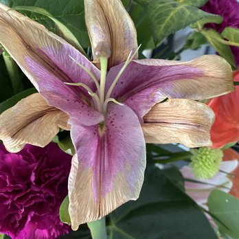 Candlelight Florist - Florists Near Me - Santee, California Candlelight Florist - Florists Near Me - Santee, California