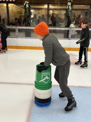 Snoopy's Home Ice by null