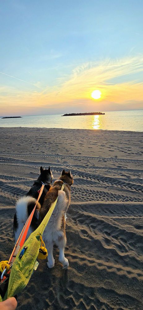 Social spots from Presque Isle State Park
