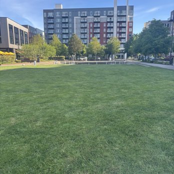 Spring District Park - Street View - Parks Near Me - Bellevue, Washington Spring District Park - Street View - Parks Near Me - Bellevue, Washington