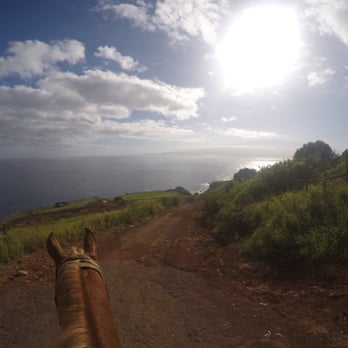 Circle M Ranch - Half way through the ride! - Horseback Riding Near Me - Wailuku, Hawaii Circle M Ranch - Half way through the ride! - Horseback Riding Near Me - Wailuku, Hawaii