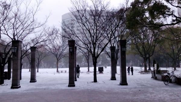 Tenjin Central Park by null