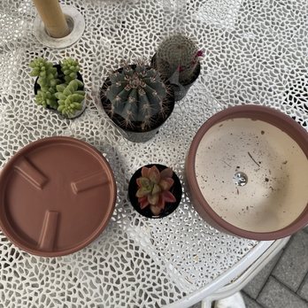 Pigment - Home Decor Near Me - San Diego, California Pigment - Home Decor Near Me - San Diego, California