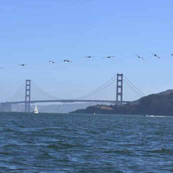 Sail San Fran - Boat Charters Near Me - Tiburon, California Sail San Fran - Boat Charters Near Me - Tiburon, California