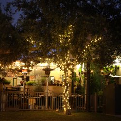 Pro Light Hangers - Permanent tree & string/patio lighting
