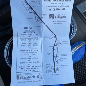 Castro Valley Christmas Tree Farm - Map provided upon arrival - Christmas Trees Near Me - Castro Valley, California Castro Valley Christmas Tree Farm - Map provided upon arrival - Christmas Trees Near Me - Castro Valley, California