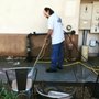 Photo of Virtuous Window Cleaning