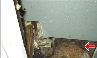 Slide of Ameen General Contractor