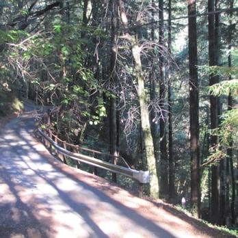 Russian River Rentals - One way road from Seaton Hill House, 17735 Santa Rosa Lane, down to driveable terrain in Guerneville, CA-NO guardrail 95% of way - Vacation Rentals Near Me Russian River Rentals - One way road from Seaton Hill House, 17735 Santa Rosa Lane, down to driveable terrain in Guerneville, CA-NO guardrail 95% of way - Vacation Rentals Near Me