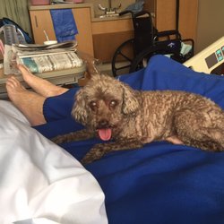 Florida Hospital Oceanside - They allow you to bring your dog to visit their mom