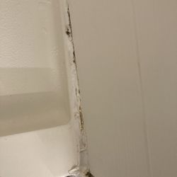 Holiday Inn Express & Suites Sebring - Mold in shower, although this was promptly cleaned on request