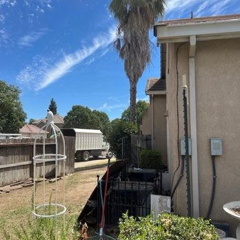 Felix Tree Service - Trees removed by Felix Tree Service - Tree Services Near Me