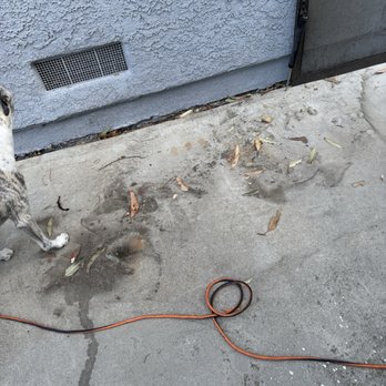 KC Power Clean - Next to my garage- mess they left - Pressure Washers Near Me - Brea, California KC Power Clean - Next to my garage- mess they left - Pressure Washers Near Me - Brea, California