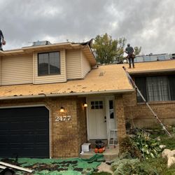 Roof Monster