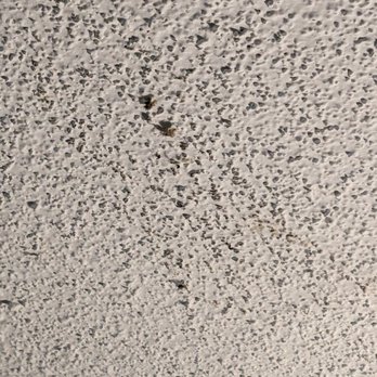 Motel 6 - Something that was rubbed off on the ceiling. - Hotels Near Me - Norfolk, Virginia